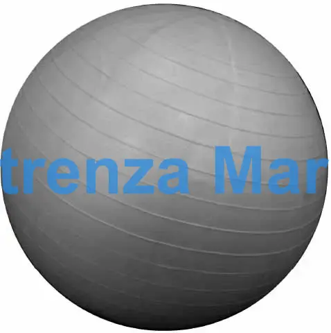 EXERCISE BALL