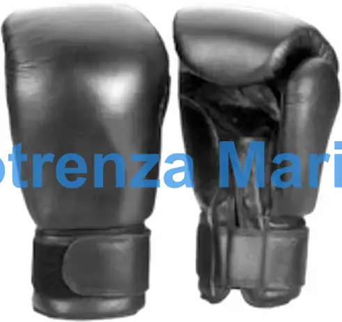 BOXING GLOVES