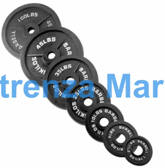 DISC BARBELL CAST IRON 10KGS, 2'S