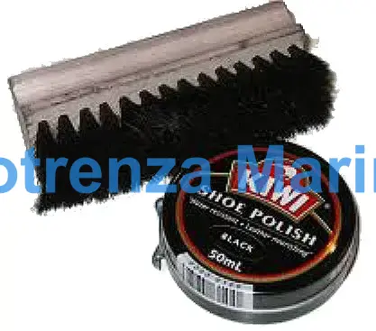 SHOE POLISH SOLID 45GRM