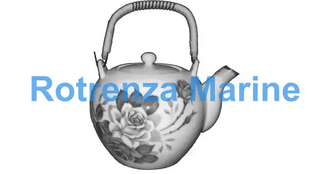 TEA POT JAPANESE (KYUSU)