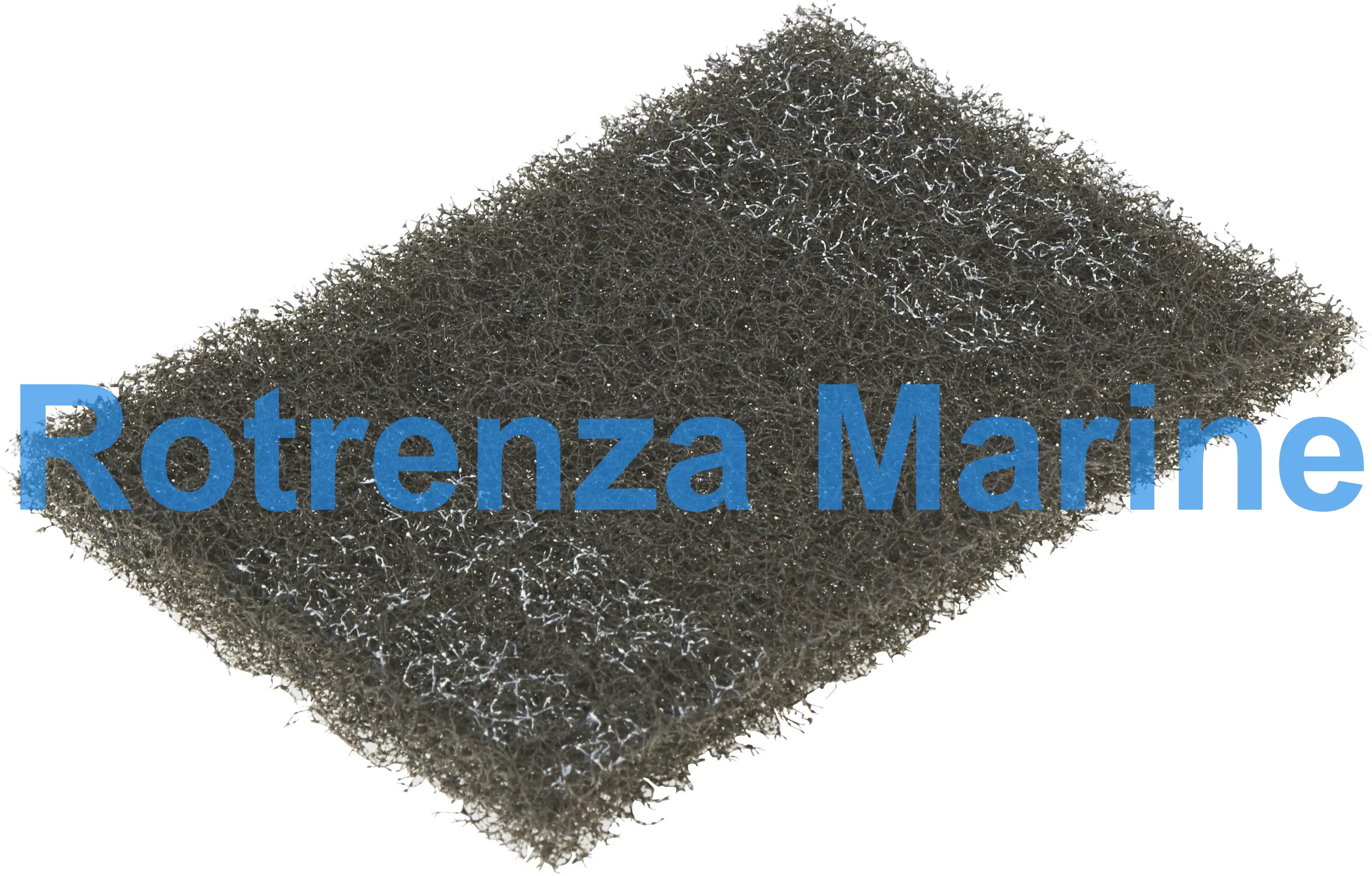 SCOTCH BRITE GRIDDLE POLISHING, PAD 3M NO.46