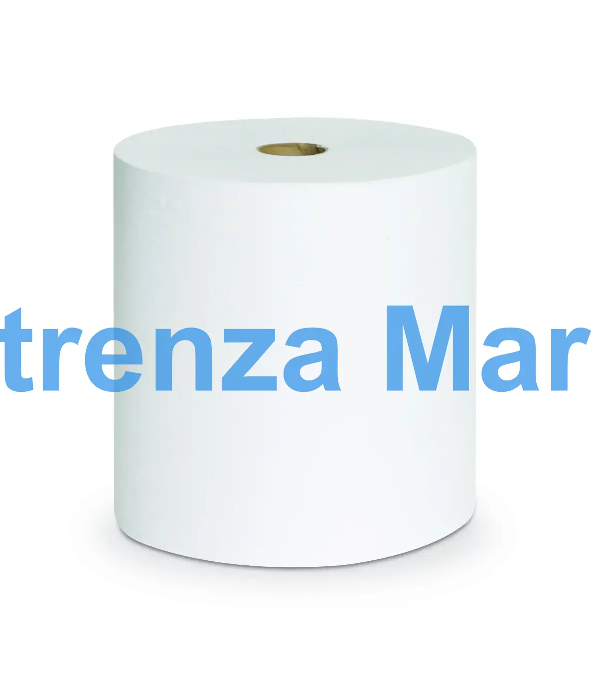 PAPER TOWEL ROLLED W/ECO LOGO, ECONOMIC 200MMX300MM 6'S/BOX