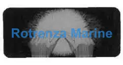 CYALUME LIGHT STICK, REGULAR TYPE