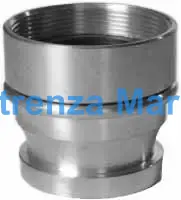 ADAPTER MALE INSTANTANEOUS, BRASS 2-1/2" X 2" BSP FEMALE 