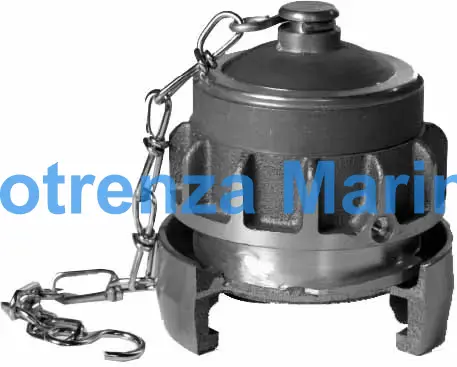 CAP HOSE COUPLING BRASS NOR, 2" (LAS 2/50A) SM542050