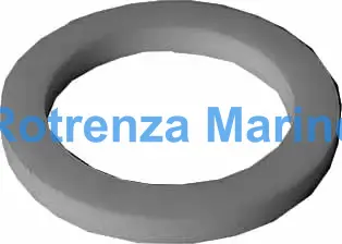 GASKET F/CAM&GROOVE COUPLING, PTFE 2-1/2" SM988065