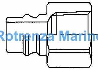 COUPLING QUICK SUS-304 NIPPLE, SOHN6-6F FEMALE RC3/8 NO VALVE
