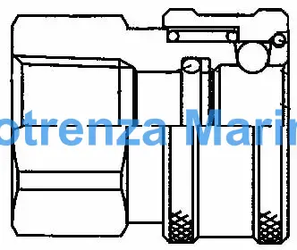 COUPLING QUICK STEEL COUPLER, OHC4-4FSO FEMALE RC1/4 NOVALVE 