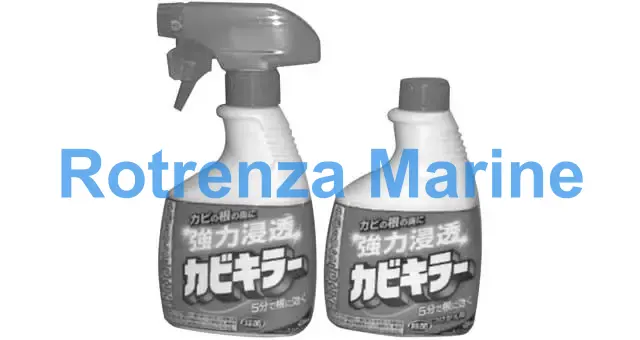 CLEANER MOLD IN SPRAYER, 1000 GRM 