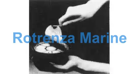 SELF-HEAT COCKROACH FUMIGATOR, 2GRM FOR 32M2 CAPACITY