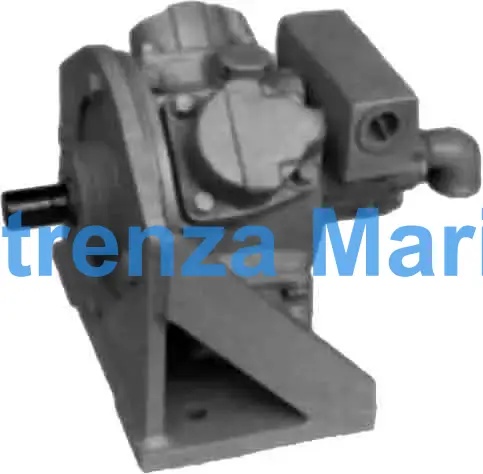 MOTOR AIR RADIAL PISTOIN TYPE, FLANGE MOUNT MODEL DM1 0.86KW