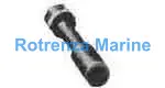 LG CENTER BOLT & NUT P/N.2-3, FOR SCALING MACHINE KC-50/60