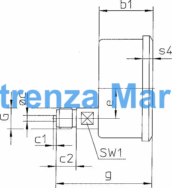 GAUGE PRESSURE W/GLYCERINE, REAR/DIRECT 0-600BAR 80MM G1/2