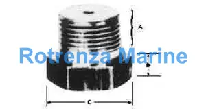 ELEMENT RETAINING PLUG BRASS, 1"