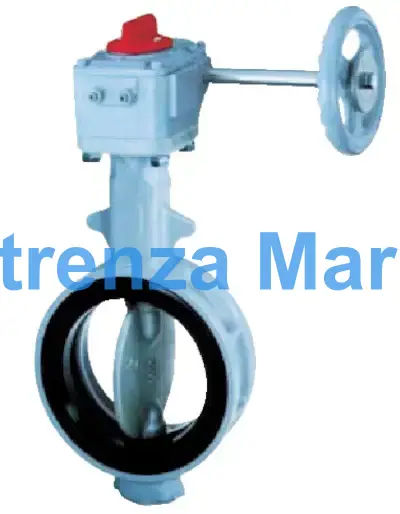 BUTTERFLY VALVE WAFER TYPE, W/WORM GEAR 10"