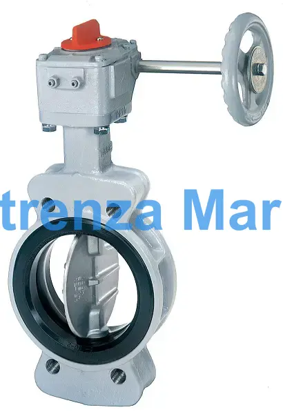 BUTTERFLY VALVE SEMI-LUGGED, W/WORM GEAR 10"