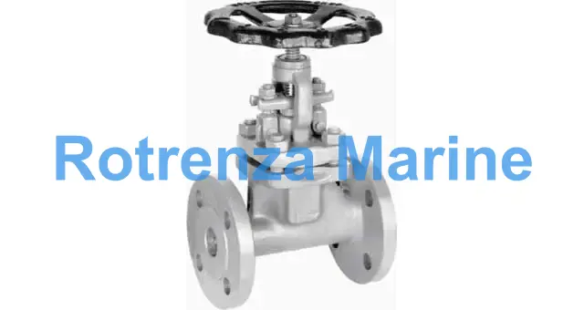 GLOBE VALVE HEAT-RESIST STEEL, DIN FLANGED PN160 #1216 50MM