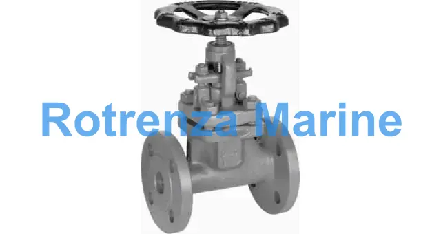 GLOBE VALVE DIN FORGED STEEL, FLANGED PN100 #1202 DN 10