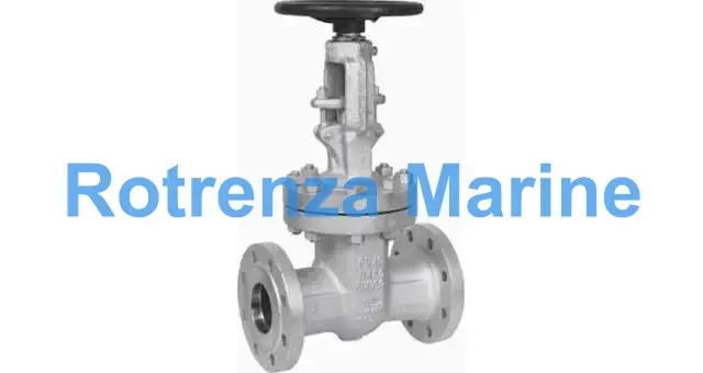 GATE VALVE DIN CAST STEEL PN40, FLANGED #3840 DN 80