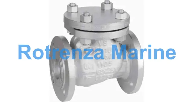 CHECK VALVE DIN CAST STEEL, FLANGED SWING PN16 #109 DN 300