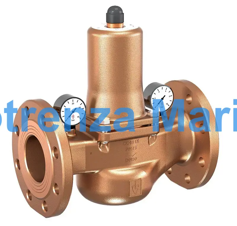 VALVE PRESS REDUCING W/FLANGE, PN40 GUNMETAL #682MGFO-SP DN65