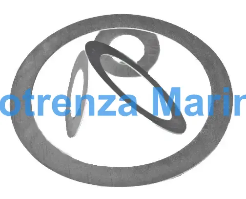 GASKET RING GRAPHITED BLIND, PN16 TH:2MM SIZE 65 77X127MM 