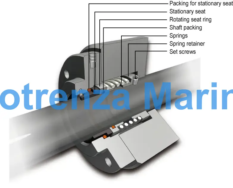 SEAL MECHANICAL WITH FURTHER, DETAIL
